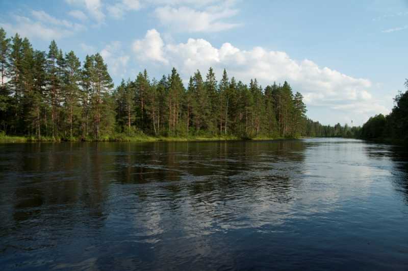 wędkarstwo w norwegii